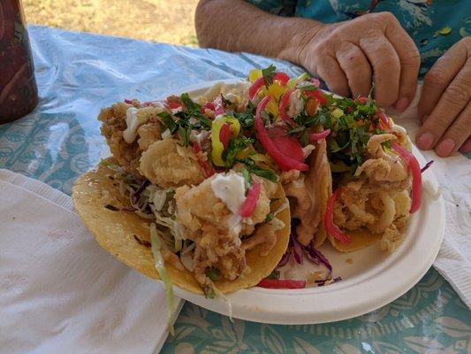 huge serving - 3 fried calamari tacos - yum