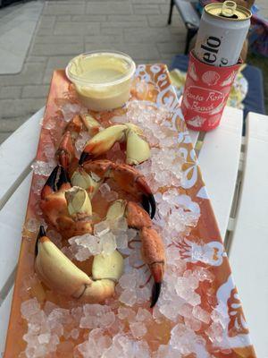 Stone crab