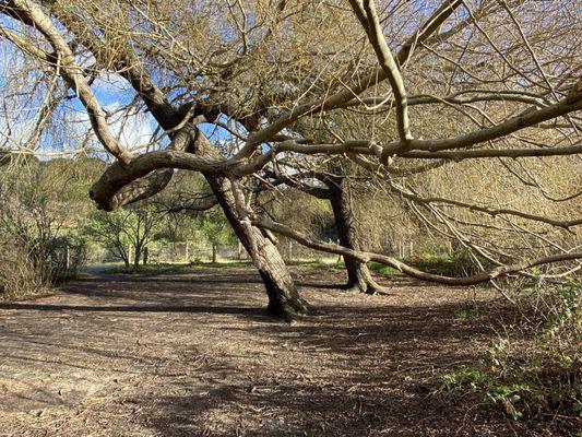 El Polin Spring