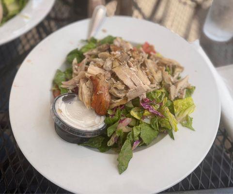 Fattoush topped with grilled chicken & garlicky dressing- lunch special