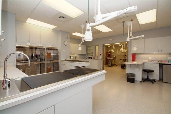 Surgical suite and pre-op area