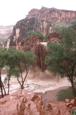 Havasu Falls post rain looks like chocolate milk.