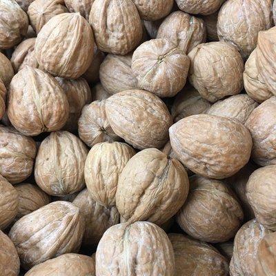 Walnuts 12/2021