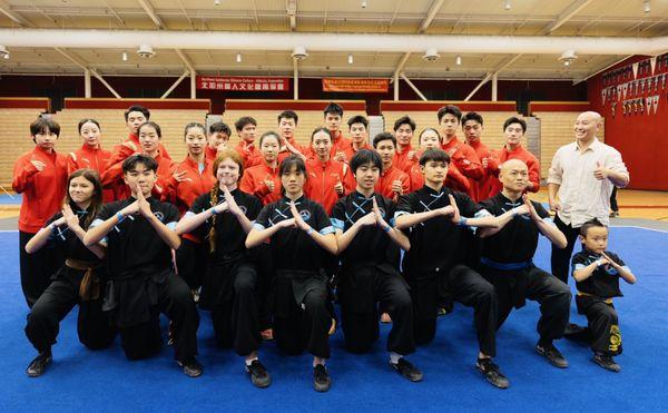 The power of wushu