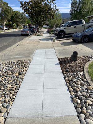 Repaired sidewalk and removed tree/stump.