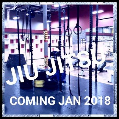 JIU Jitsu classes coming this January