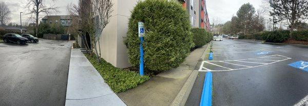 Pano view of ample parking on both sides of the building