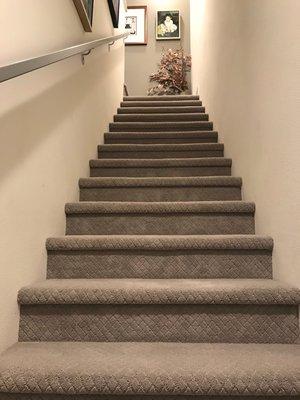 Tuftex pet protect carpet