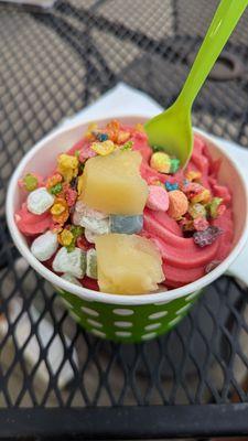 Watermelon Froyo