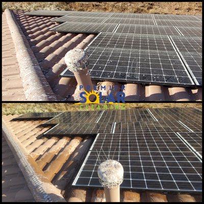 Before and after - cleaned the solar panels, netting, and spikes