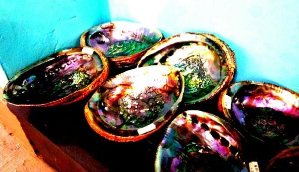 Abalone shells