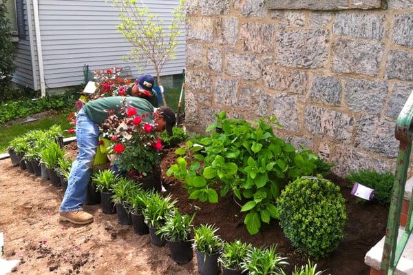 Planting Installation, Palisades Park, NJ