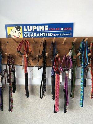 They sell leashes and collars, but don't try to push them on you