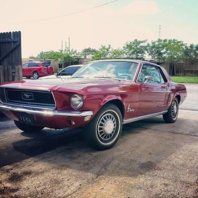 1968 Mustang - turns out her points were of shoddy manufacture. Bob fixed it in a day