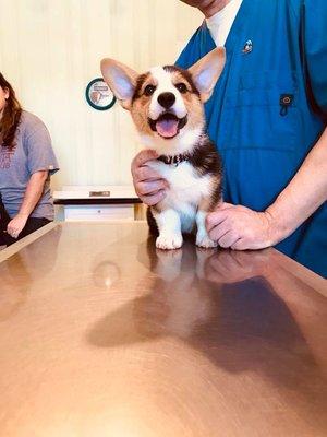 Puppy exams are our favorite and we think Randy agrees!