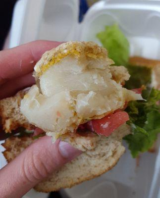 Baked cod sandwich. Delicious!