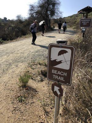 Beach trail