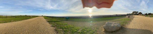 Panorama of the dog park