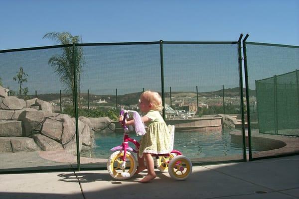 pool fences