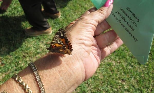 Butterfly release-2014