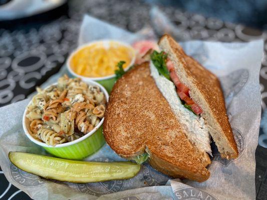 Chicken Salad sandwich with pasta salad and Macaroni & Cheese