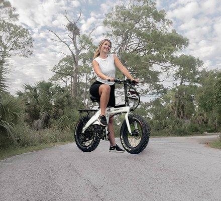 Defiant All Terrain Fat Tire Electric Bike