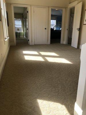 Wall to wall carpet cleaning