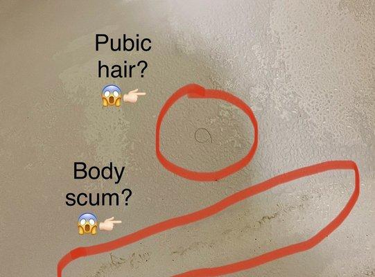 Pubic hair and body scum in the tub????