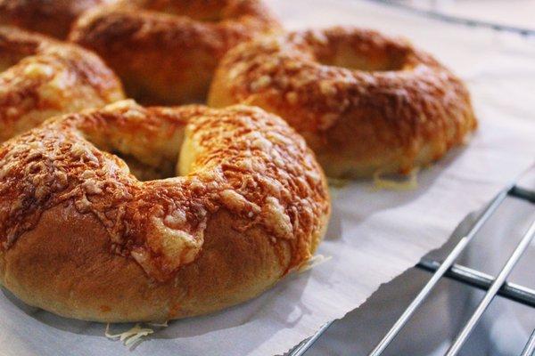 Asiago Bagels