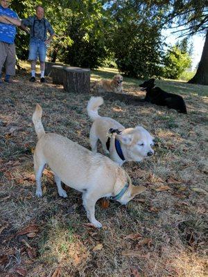 Charley and his new friend, Little Man!