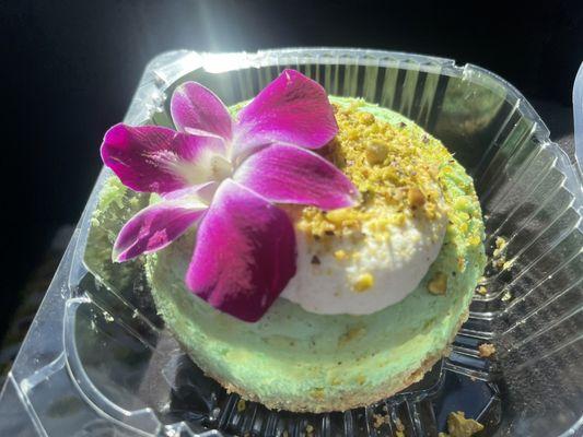 Pistachio cheesecake!