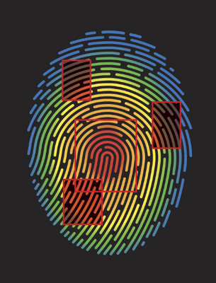 Electronic fingerprint