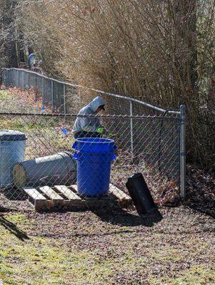 This is after all the brush was cut off the fence