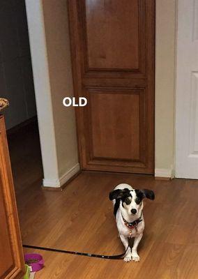 old flooring and baseboard along with the culprit responsible for needing new floors.