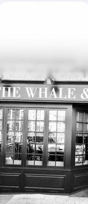 The Whale & Ale