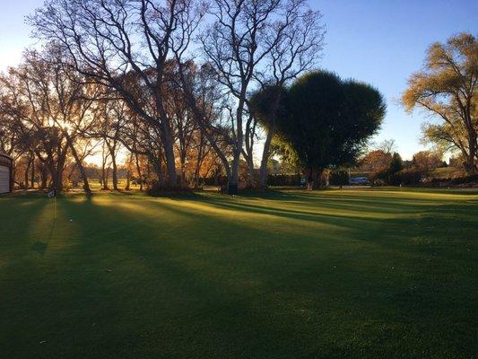 Beautiful putting green