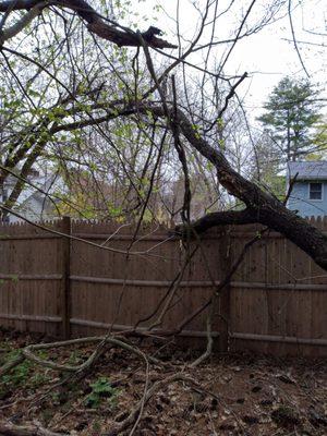 storm damage