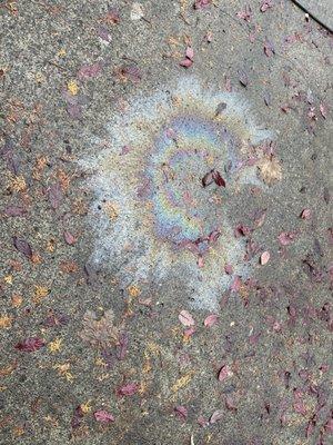 Oil on concrete