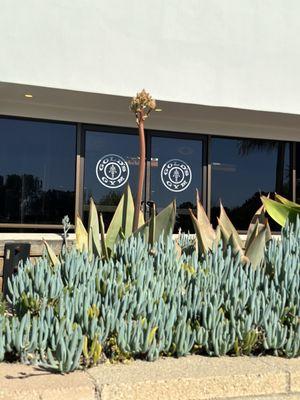 Gold's Gym - Fairview Goleta entrance