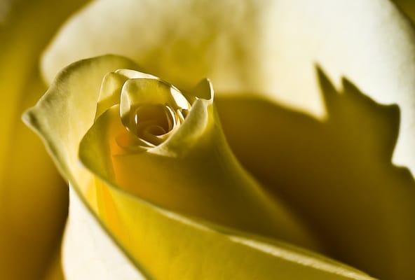 Fine Art Prints