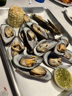 Grilled Mussels