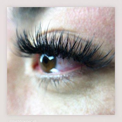 Hybrid Lashes