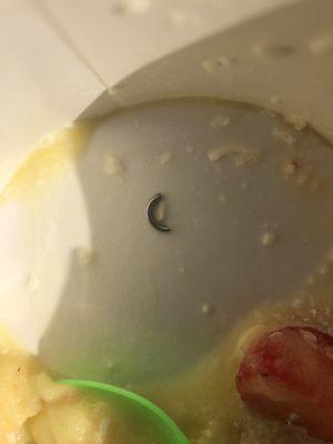 Fro yo with metal in it I bit into