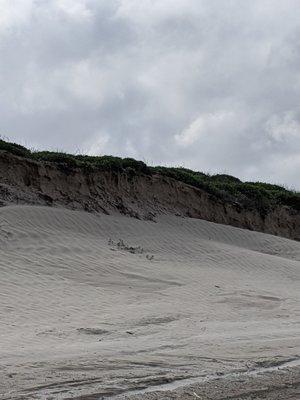 Shifting sands Love to see the sand blowing and moving