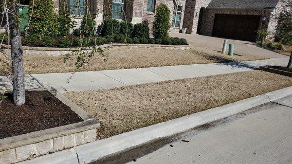 Dormant Lawn With no weeds. Effective Pre-emergent Weed Control for this time of year. Give Green Top Lawn Care a call and see results