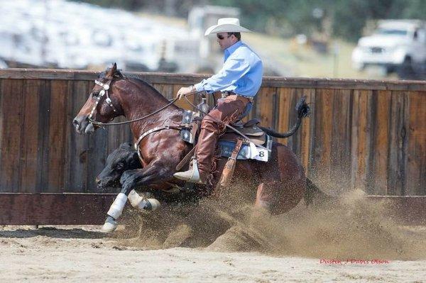 Jones Performance Horses and Colt Starting