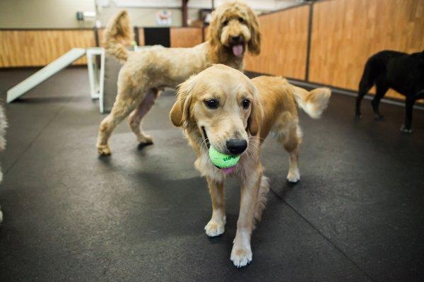 Our daycare has over 3,000 square feet of indoor space to run and play and over 1,700 square feet of secure, outdoor play space.