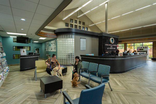 Canine waiting area in lobby