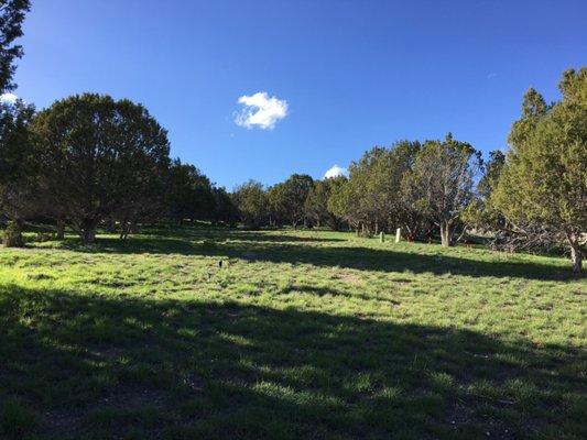 This is a rare 1.3 Acre Equestrian lot. You can have horses, cows, goats, build a swimming pool or just simply enjoy this beautiful lot