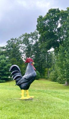 SMH random stuff... a big black rooster statue